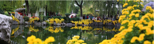 1554954163200308.png image.png